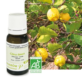 Comparar mejores precios Limon Aceite Esencial 10 Ml Pranarom con descuentos Comprar Limon Aceite Esencial 10 Ml Pranarom al mejor precio