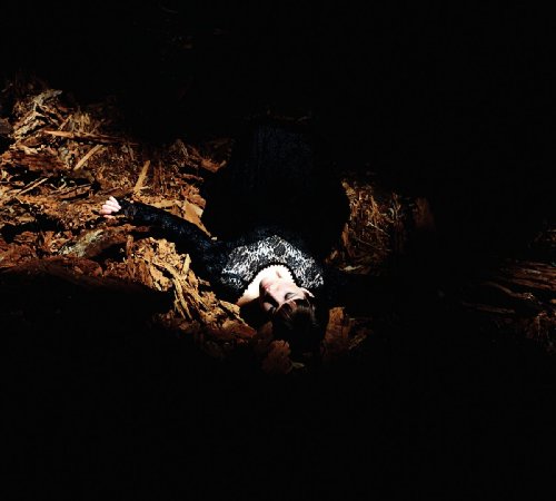 Comprar Victorian America [Vinilo] al mejor precio