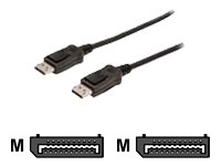 Comprar Cable DisplayPort de 20 pines -> 20 pines M / M 3.00 m con grueso cerrojo al mejor precio