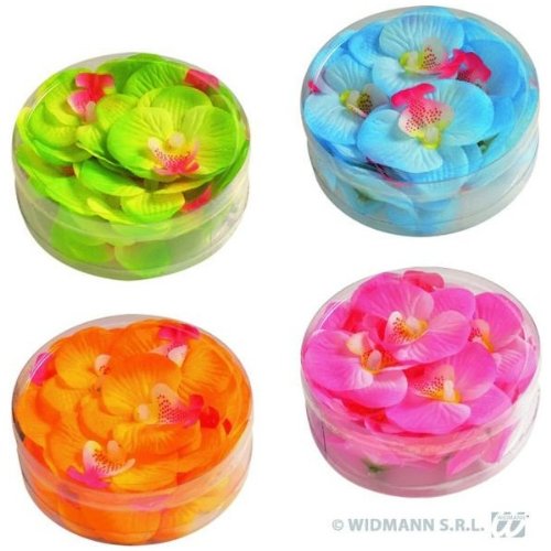 Comprar Caja de 20 orquídeas al mejor precio