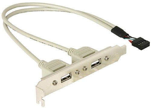 Comprar DeLOCK Slotbracket 1x internal USB 5pin > 2x USB2.0 external - Cable USB (USB A, Color blanco) al mejor precio