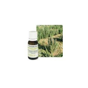 Comprar ROMARIN A CINEOLE HUILE ESSENTIELLE CHEMOTYPEES 10ML al mejor precio