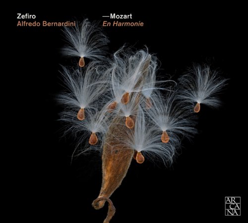 Comprar Mozart: En Harmonie / Zefiro, Bernardini al mejor precio