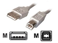 Comprar LOGON 0.6m USB A - B - Cable USB (2.0, USB A, USB B, 1 pieza(s)) Beige al mejor precio