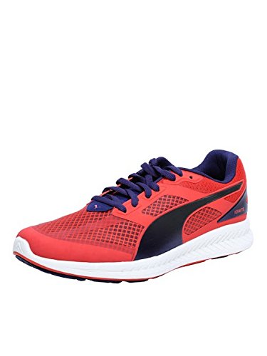 Comprar Puma IGNITE Mesh Wn's, Scarpe da corsa donna, Rosa (cayenne-astral aura), 42 al mejor precio