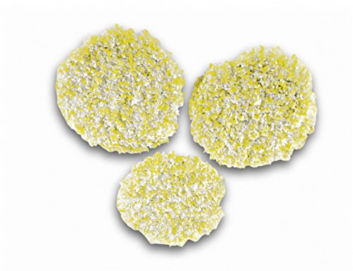 Comprar Kärcher 2.863-198.0 Cepillos esponja suelos duros / PVC al mejor precio