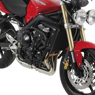 Comprar Defensa de motor Triumph Street Triple 675 al mejor precio