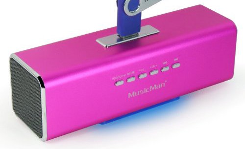 Comprar Technaxx MusicMan MA - Altavoz portátil (batería integrada, MP3, radio FM, adaptador USB y micro SD) Rosa al mejor precio