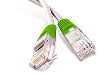 Comprar Dacomex RJ-45 Cat5e M-M 2m - Cable de red (2m, Cat5e, U/UTP (UTP)) Verde, Color blanco al mejor precio