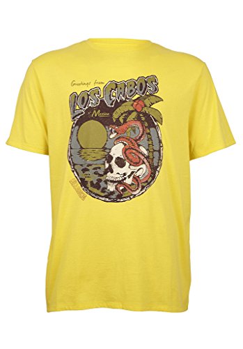 Comprar Skeleton Bay al mejor precio