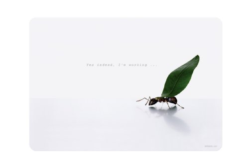 Comprar Speed-Link Lares Notebook Cover - Accesorio para portátil (Multi, 15