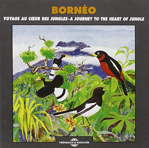 Comprar Borneo - A Journey to the Heart of the Jungle al mejor precio
