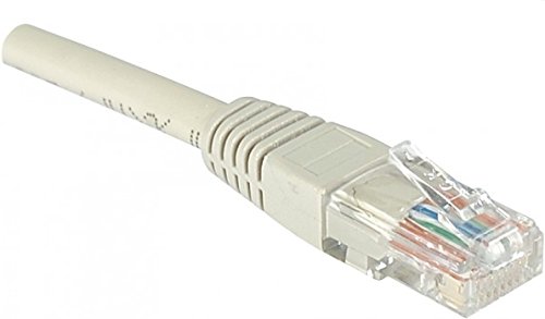 Comprar 3.28 pies Dexlan - Cable de red RJ45 UTP Cat6 LSOH al mejor precio