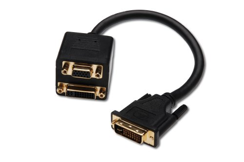 Comprar ASSMANN Electronic DVI 0.2m - cables DVI (DVI-I, DVI-I, Macho/hembra, Oro, Negro, 2560 x 1600 Pixeles) al mejor precio