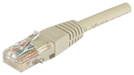 Comprar Dacomex 49,2ft Cat5E RJ45 UTP Cable de red LSOH al mejor precio