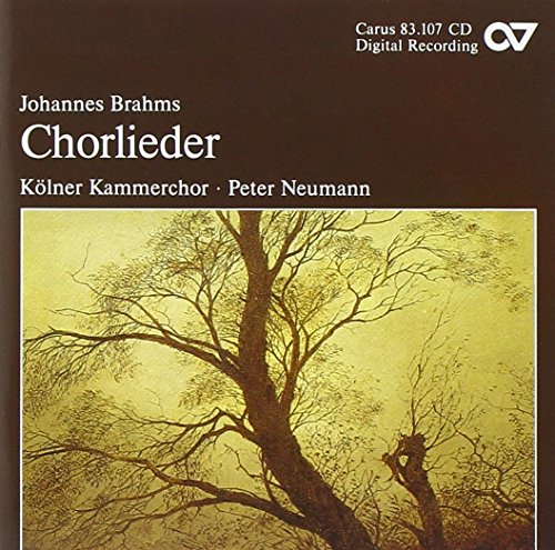 Comprar Brahms: Lieder Corales al mejor precio