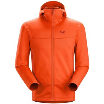 Comprar Polar Arc Teryx Chaquetas forro polar Arenite Hoody al mejor precio