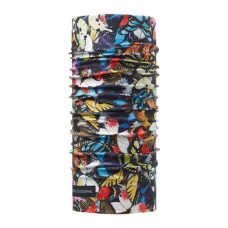 Comprar NATIONAL GEOGRAPHIC ORIGINAL WINGS al mejor precio