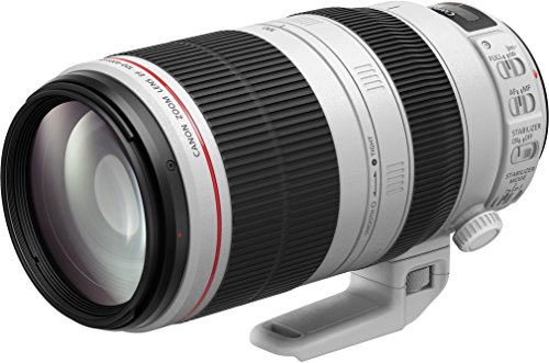 Comprar Canon EF 100-400mm f/4.5-5.6L IS II USM - Objetivo para Canon (distancia focal 100-400mm, apertura f/4.5-5.6L IS II USM), negro y blanco al mejor precio