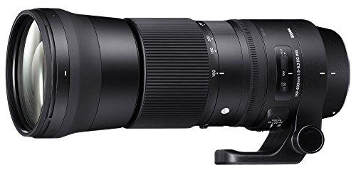 Comprar Sigma 745306 - Objetivo para cámara réflex Nikon F (150 - 600 mm, f/5 - 6.3), negro al mejor precio
