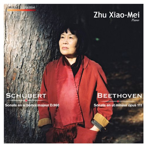 Comprar Schubert : Sonate En Si Bémol Majeur D.960 - Beethoven : Sonate En Ut Mineur Op.111 al mejor precio