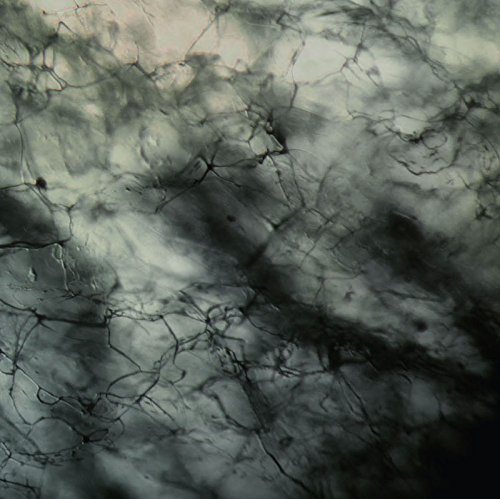 Comprar EPs al mejor precio