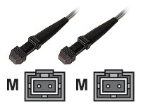 Comprar Dexlan - Cable de fibra óptica dúplex (62,50/125, MTRJ-MTRJ, OM1, 1 m) al mejor precio