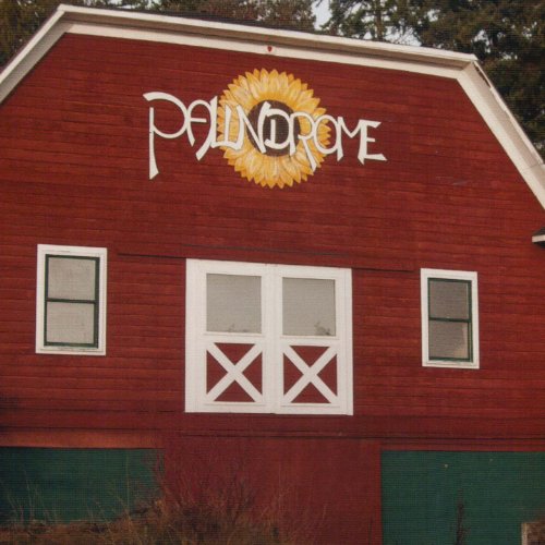 Comprar Palindrome al mejor precio