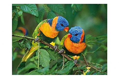 Comprar ASSMANN Electronic 64227 alfonbrilla para ratón - Alfombrilla de ratón (Imagen, Multicolor, Universal) al mejor precio