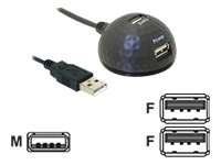 Comprar DeLOCK Adapter USB 2.0 Dockingstation - Base (Negro) al mejor precio