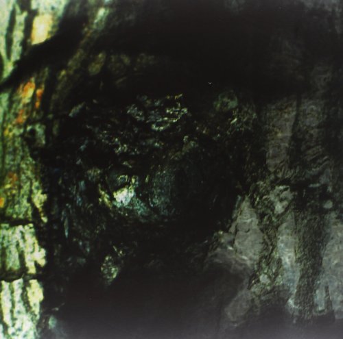 Comprar The Waltz Of The Monsters [Vinilo] al mejor precio