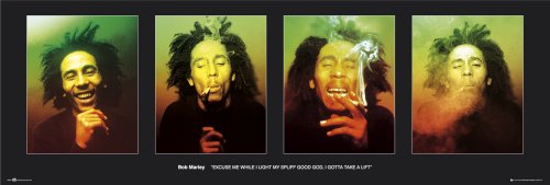 Comprar GB eye, Bob Marley, Excuse Me, Poster Puerta, (53x158cm) al mejor precio
