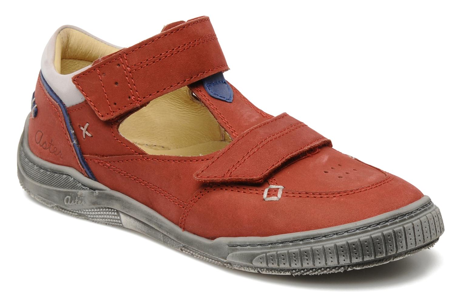 Comprar HARPERBIS by Aster Rojo al mejor precio