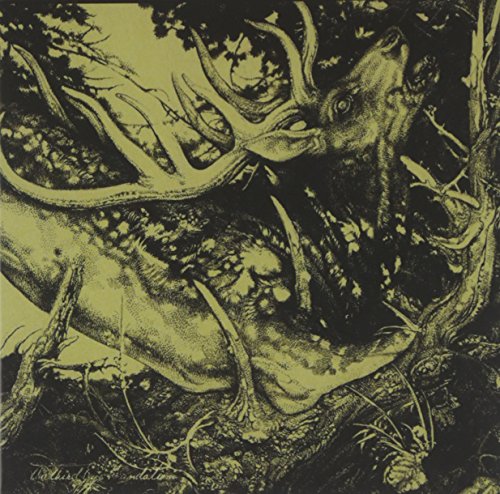 Comprar The Dark al mejor precio