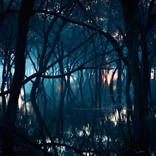 Comprar Kiasma [Vinyl] [Vinilo] al mejor precio