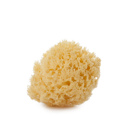 Comprar Esponja Natural Suavinex Mediana al mejor precio