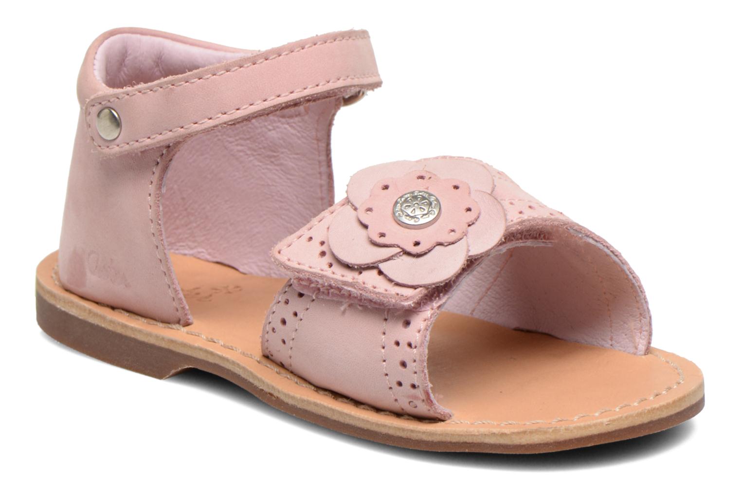 Comprar VIOLETTE by Aster Rosa al mejor precio