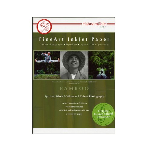 Comprar Hahnemühle Bamboo A4, 290 g - Papel (290 g, Mate, 290 g/m², 0,5 µm, 35 - 65%, 10 - 30 °C, 50 - 86 °F) al mejor precio