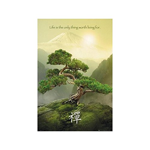 Comprar GB eye Ltd PH0449 - Póster, color varios colores al mejor precio