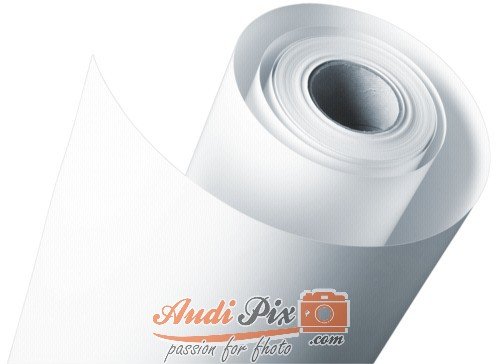 Comprar Noritsu studioPortrait Roll Paper 127 mm x 100 m D-Series al mejor precio