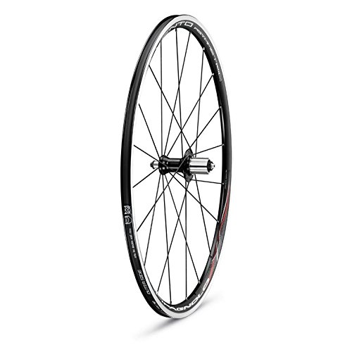 Comprar  Campagnolo  0135640 -  Juego de ciclismo al mejor precio