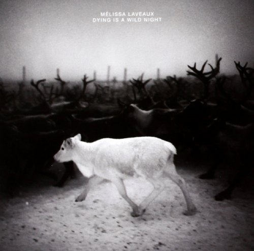 Comprar Dying Is A Wild Night al mejor precio