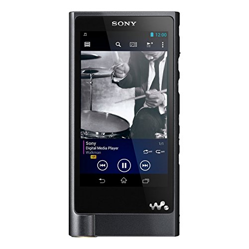 Comprar Sony Walkman NW-ZX2 - Reproductor de MP3 (pantalla de 4
