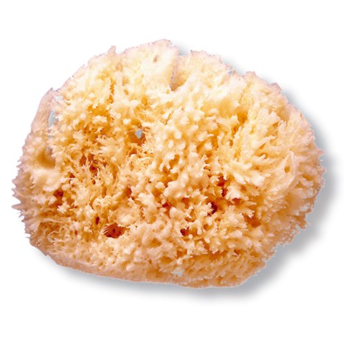 Comprar Suavinex - 3302919 - Toalla al mejor precio