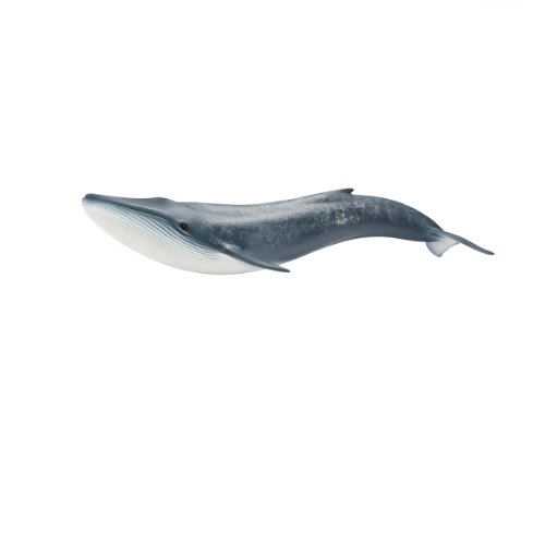 Comparar mejores precios Schleich - Figura ballena, color azul (14696) con descuentos Comprar Schleich - Figura ballena, color azul (14696) al mejor precio