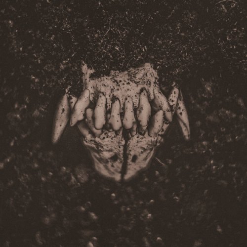 Comprar Mass i al mejor precio